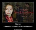 /album/fotogaleria/amanecer-parte-2-06-jpg/