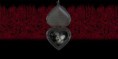 /album/fotogaleria/vampire-rose-3d-hd-wallpapers-2-3-s-307x512-jpg1/